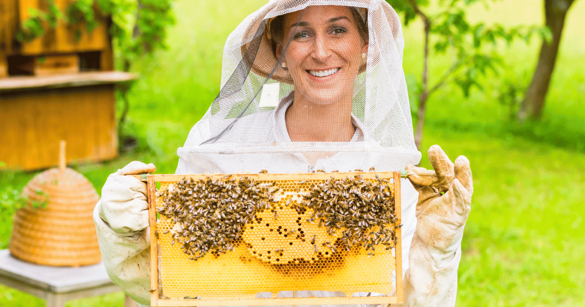 Beekeeper holding up honeycomb